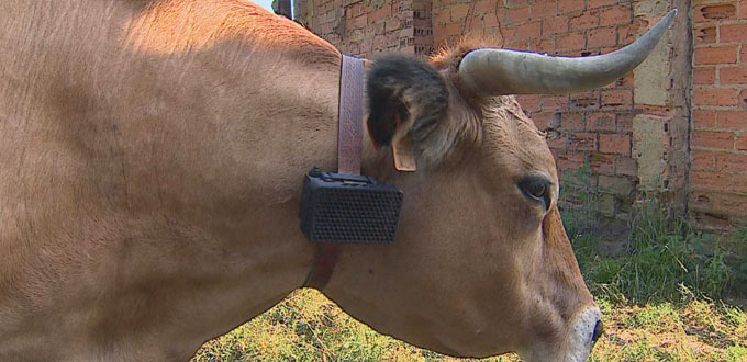 Un ingeniero informático crea ‘Ahuyentalobos’ para tratar de evitar los ataques al ganado