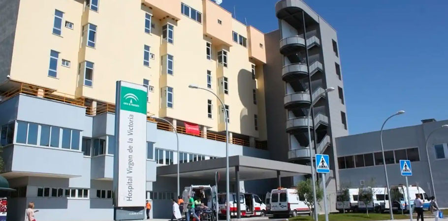 La clave para entender el cáncer está en sus historias y este algoritmo de la UMA ayuda a comprenderlas