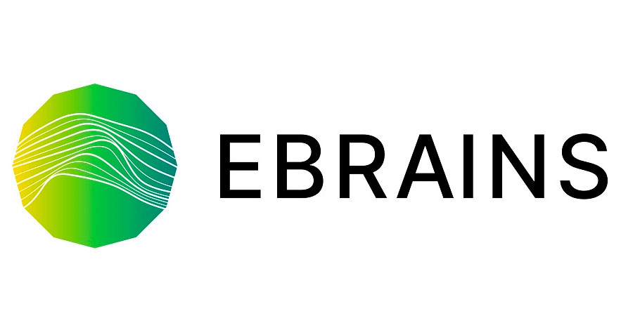 La URJC se une al consorcio europeo EBRAINS