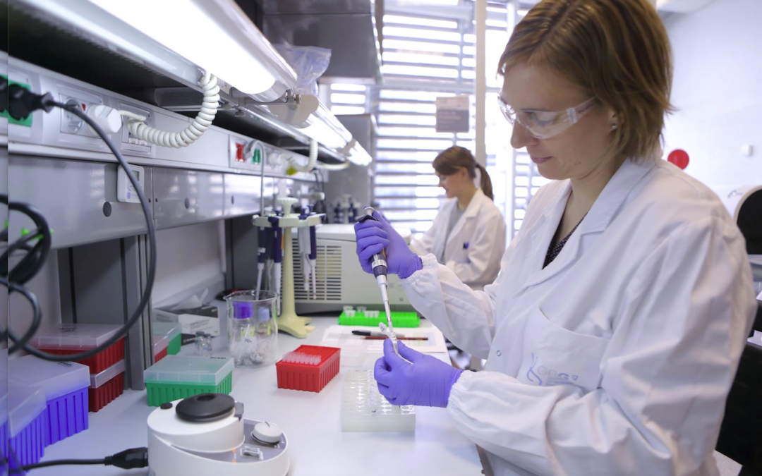 35 proyectos de investigación innovadores en distintos ámbitos de la ciencia consiguen el apoyo de la Fundación BBVA. Proyectos de ciencia de datos e Informática biomédica entre los seleccionados