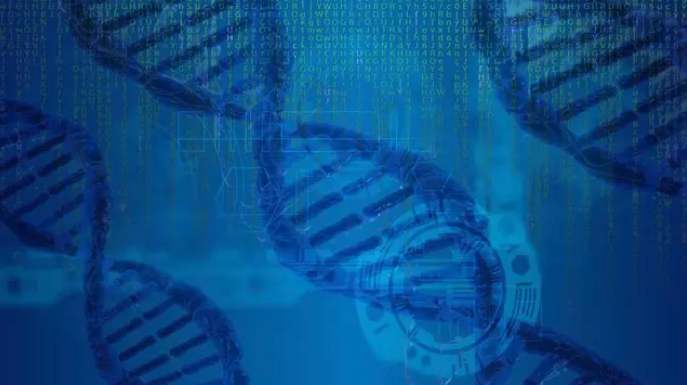 Andalucía impulsa unas jornadas sobre bioinformática para mostrar los avances en este campo